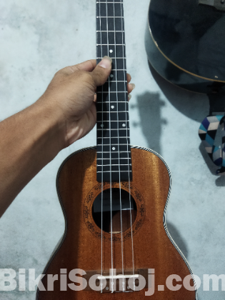 Ukulele yamaha uk24-40